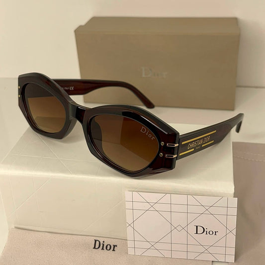 DIOR Marron